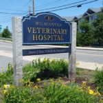 carved, gold leaf sign, Wilmington veterinary hospital